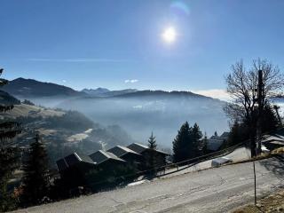 Chalet Leontine - Superbe chalet face aux montagnes proche des pistes MAE-3751 - Notre-Dame-de-Bellecombe - 5