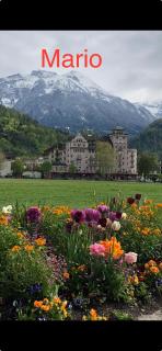 Apartment by Mario - Interlaken - 0