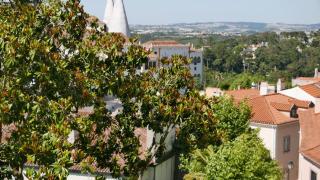 Origem - Sintra - 0