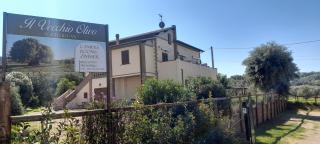 Agriturismo IL VECCHIO OLIVO - 0