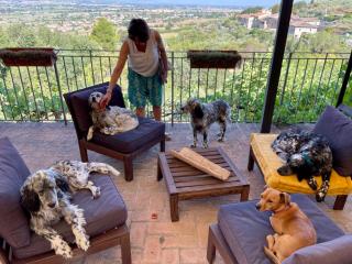 SetterHouseAgriHotel - Trevi - 6