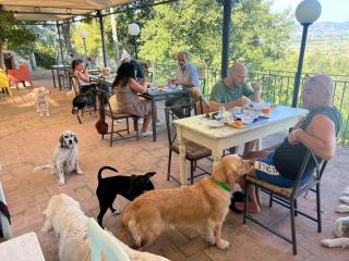 SetterHouseAgriHotel - Trevi - 8