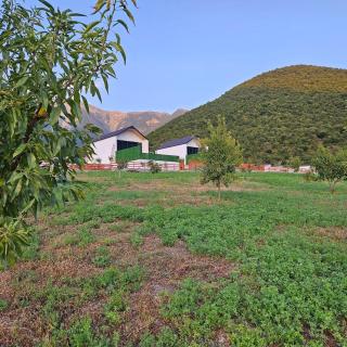 ModernVillageSheki House - Vǝrǝzǝt - 0