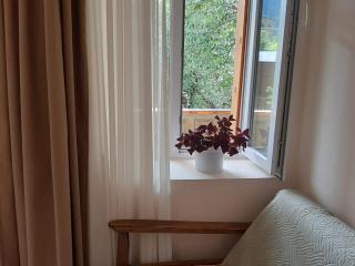 Ienashi in Mestia - 3