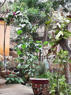 El Jardin - San Juan del Sur - 2