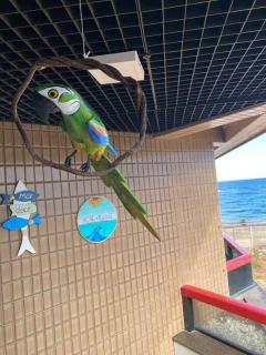 Apartamento à beira mar em Salvador - 6