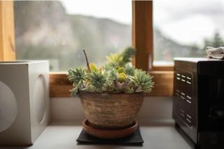 Cabaña Tyto Alba - 2