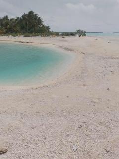 Tikehau Fare Li mei - 3