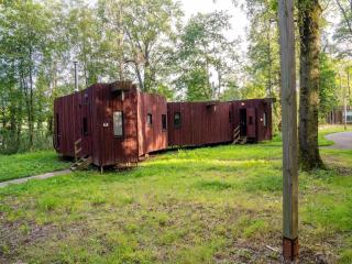 Belvilla Calm Bungalow in Nature - - 3