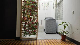 Tribu Coliving - Envigado - 2