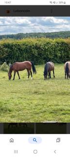 Maison en plein coeur du Vexin -  - 3