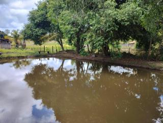 Rancho Cariri - Bôca da Mata - 2