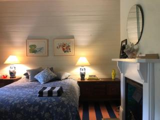 Original 1895 cottage with magnificent uninterrupted views of valley - Blackheath - 8