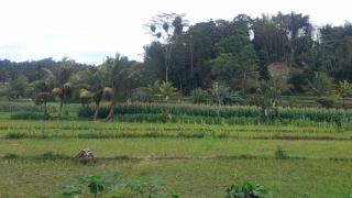 Villa Happy Batukliang - 2