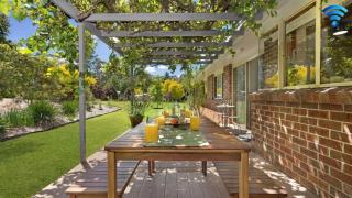 Banksia - West Cambewarra - 0