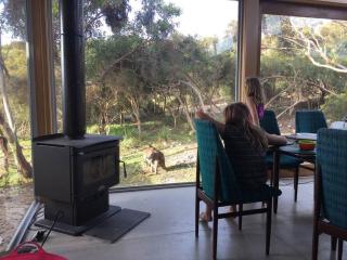 Kangaroo Island Supashak - Vivonne Bay - 0