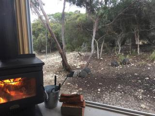 Kangaroo Island Supashak - 6