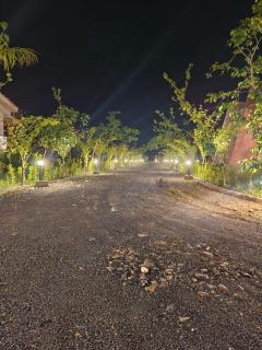 BaghVann Jungle Resort - Kolāra - 9
