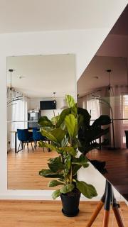 AMAO-Indigo I 62qm I Suite mit Balkon & Tiefgarage I KingSize-BoxspringBett I Aufzug - Offenburg - 6