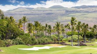 HAWAII BLUE VILLA Charming 3BR Golf Villas Home Close to Pool - Waikoloa - 4