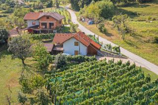 Rainbow Cottage In The Vineyards - Happy Rentals - Dragatuš - 0