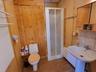 Charmant appartement 2P avec terrasse et animaux - La Tania - FR-1-513-95 - 9