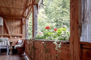 Talsenalm Wald Habitat - 6