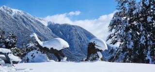 The Bealey Hotel - Arthur's Pass - 7