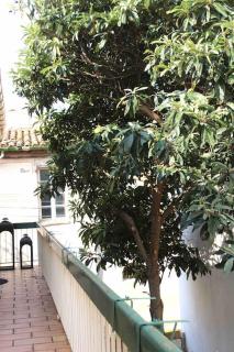 Spacieux appartement 4 couchages, terrasse privée - Narbonne - 3