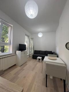 Kopernikova Studio - Belgrade - 0