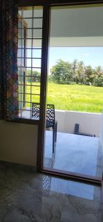 Tranquil by the fields - Alappuzha - 9