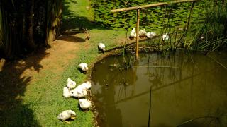 Single bedroom at Rumah Sentosa - 6