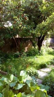 Louise's Loft - Boulay - Moselle - 3