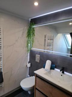 Bel Appartement, Sélestat - Sélestat - 5
