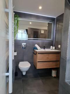 Bel Appartement, Sélestat - Sélestat - 7