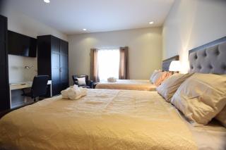 The Lion Inn & Suites - 3