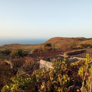 Quiet Rural House & BBQ, El Pinar - El Pinar del Hierro - 7