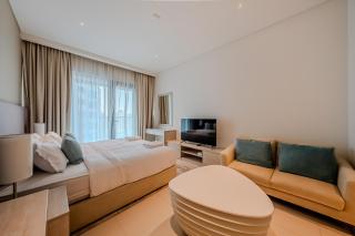 Exquisite Studio apartment in Palm Jumeirah - Dubai - 3