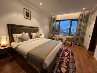 The Pangong - Leh - 0
