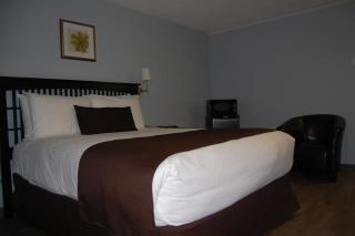 Rest Inn - Terrace - 3