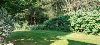 Ferienhaus "Haus Bethlehem" Käthe Schmidt - Papenburg - 6