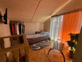 Cottage 'Carolina' with hot tub, sauna and BBQ area - Kosiv - 8