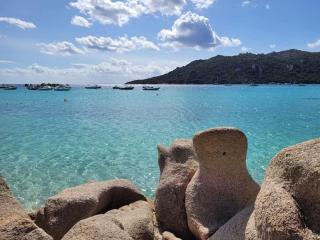 Logement Mésange600m à pied de SantaGiulia Jacuzzi - Porto-Vecchio - 5