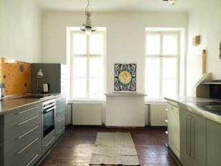 Big Garden Apartment, 10 Minutes to U4 and U6 - Wenen - 3