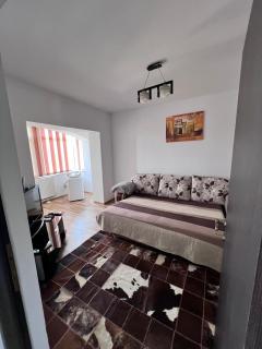 Chindia Apartament - 7