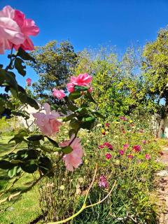 Blessed Luxury Cottage into Nature in Sandton Apartment in Sandton - 1