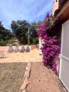 Logement Linotte, 600m à pied Santa Giulia Jacuzzi - Bocca del Oro - 9