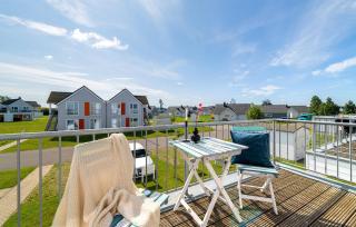 Uferschnepfe - Olpenitz - 6