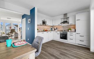 Uferschnepfe - Olpenitz - 3