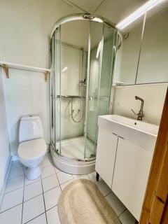 Leilighet i herskapelig villa - 1